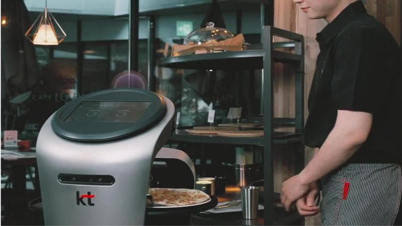 KT AI 서빙로봇 매드포갈릭 편