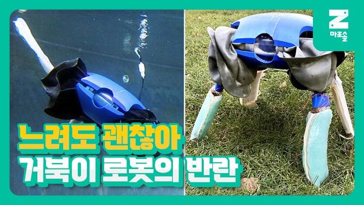 거북이로봇은 토끼를 이길 수 있을까요? (feat. 예일대 연구진)